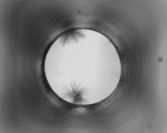 X0000102870159200809151243
