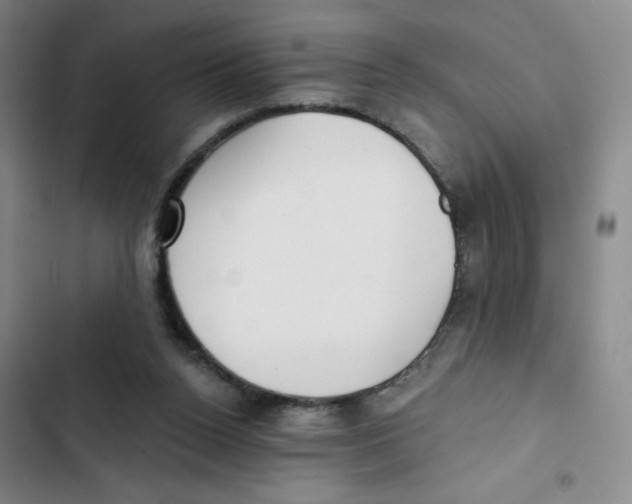 X0000102870160200809151243