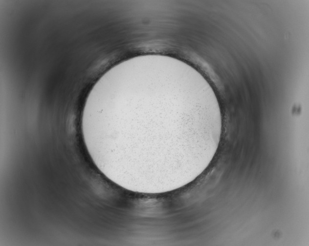 X0000102870161200809151243