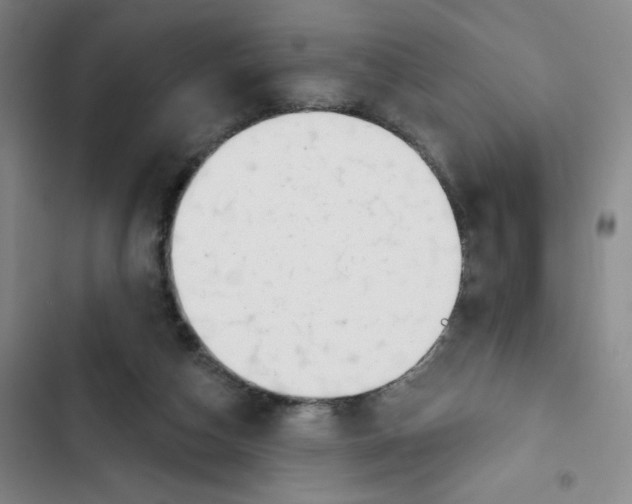X0000102870162200809151243