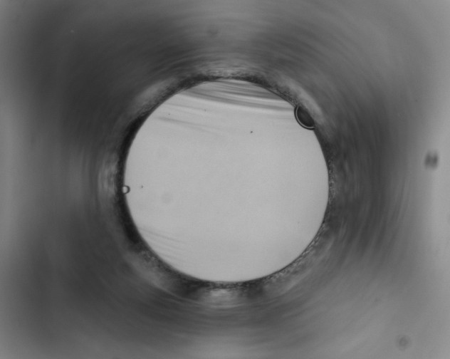 X0000102870163200809151243