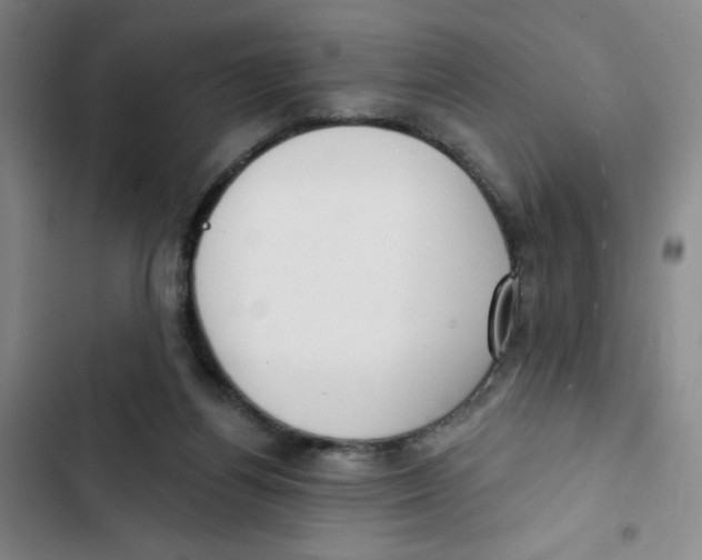 X0000102870164200809151243