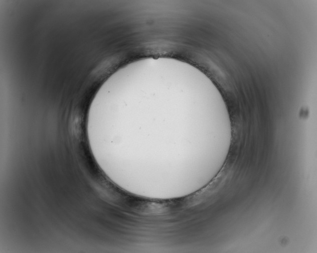 X0000102870166200809151243