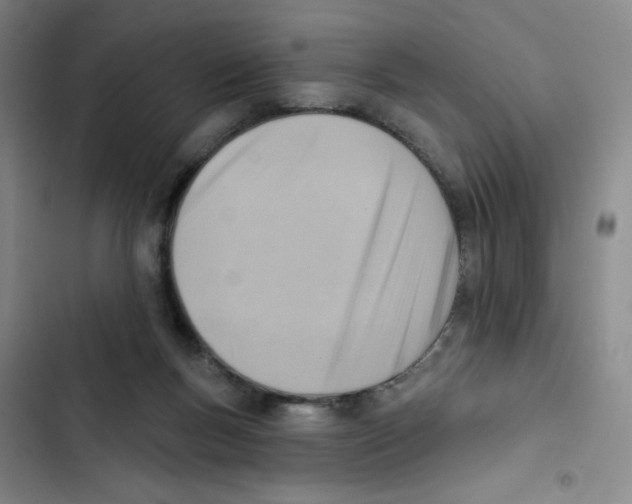 X0000102870167200809151243