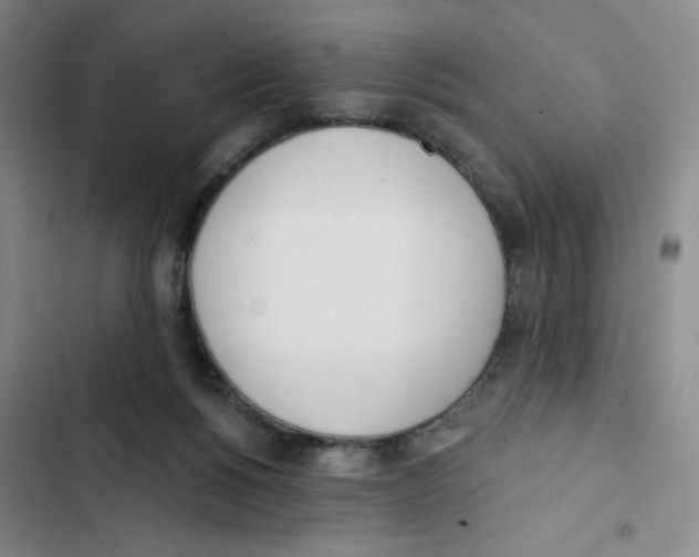 X0000102870168200809151243