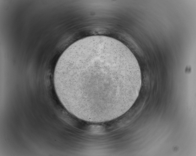 X0000102870169200809151243