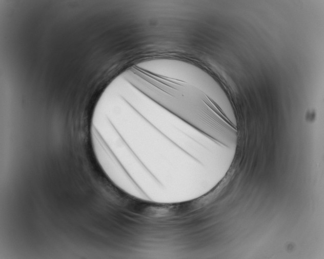 X0000102870170200809151243