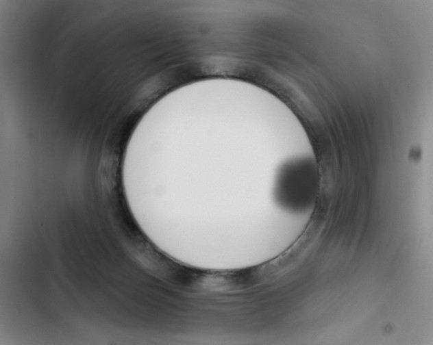 X0000102870171200809151244