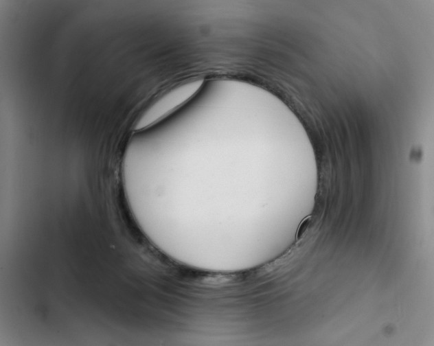 X0000102870172200809151244