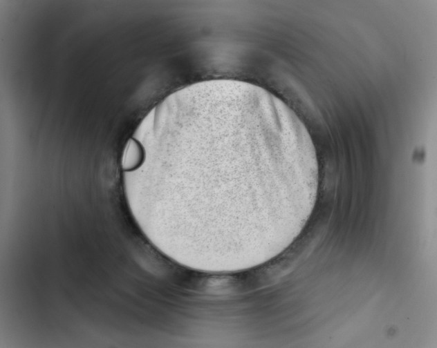 X0000102870173200809151244
