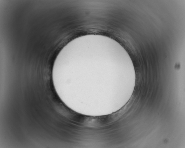 X0000102870174200809151244