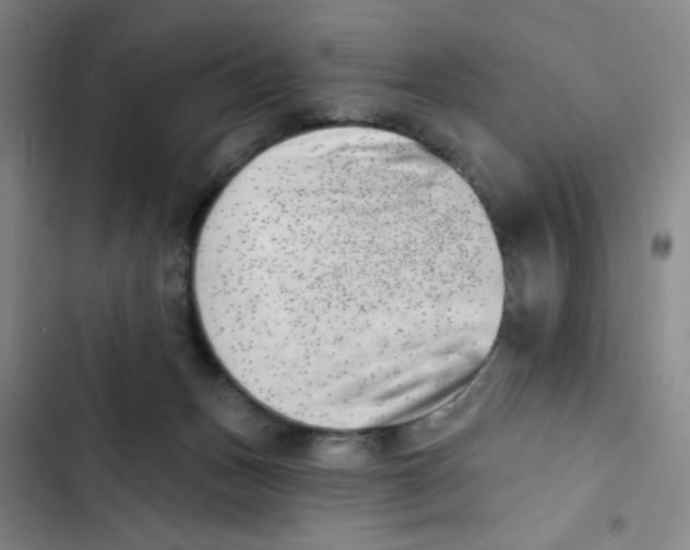 X0000102870175200809151244