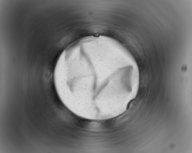 X0000102870176200809151244