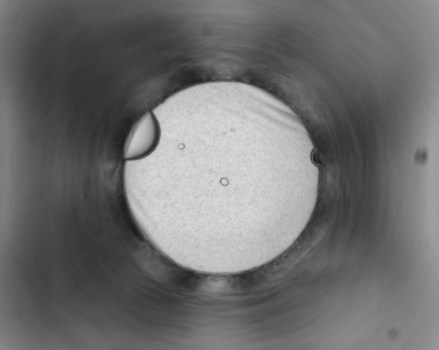 X0000102870177200809151244