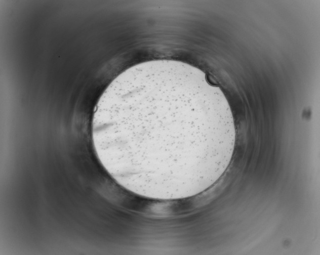 X0000102870178200809151244