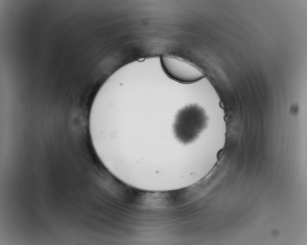 X0000102870179200809151244