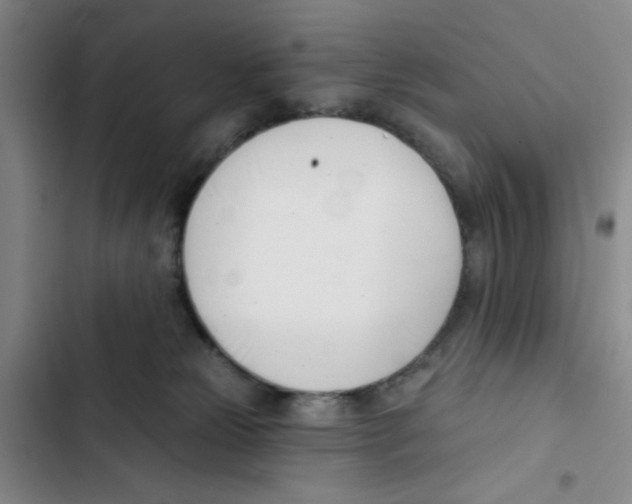 X0000102870181200809151244