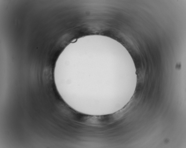 X0000102870182200809151244