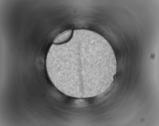 X0000102870183200809151244