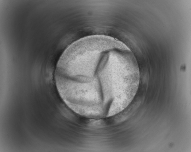 X0000102870185200809151244