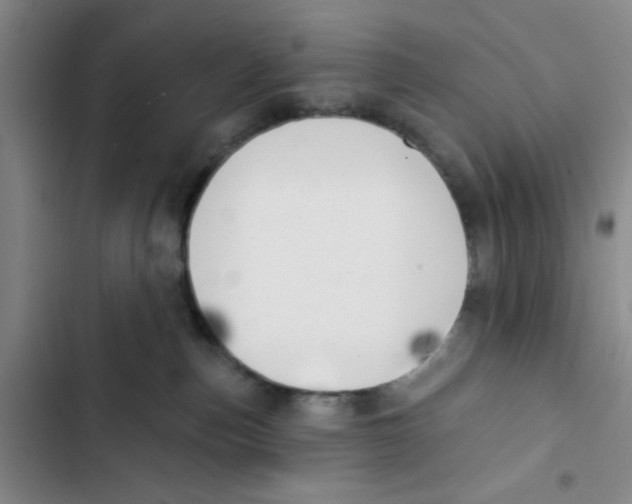 X0000102870187200809151244