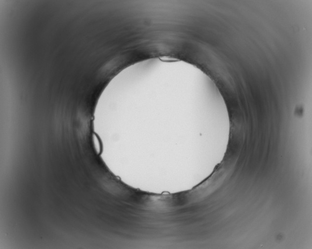 X0000102870188200809151244
