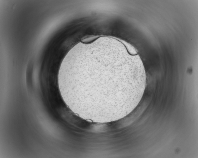 X0000102870189200809151244