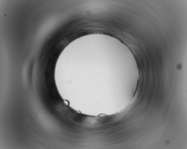X0000102870190200809151244