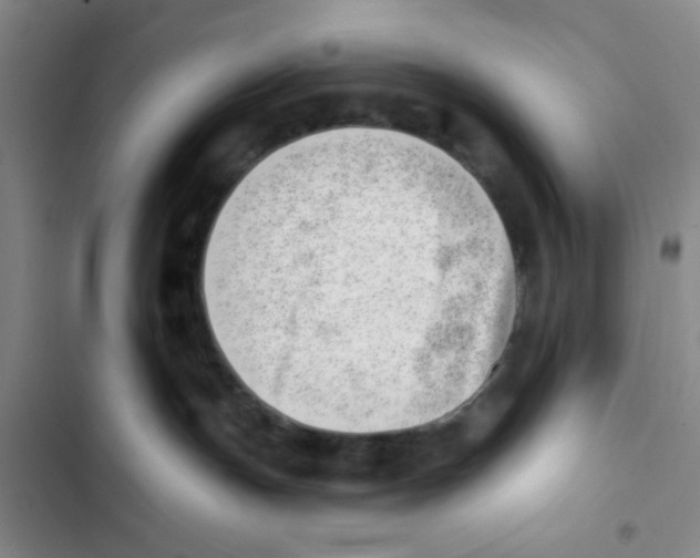 X0000102870191200809151244