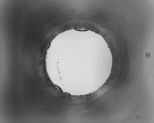 X0000102870192200809151244