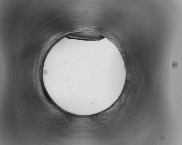 X0000102870193200809151243