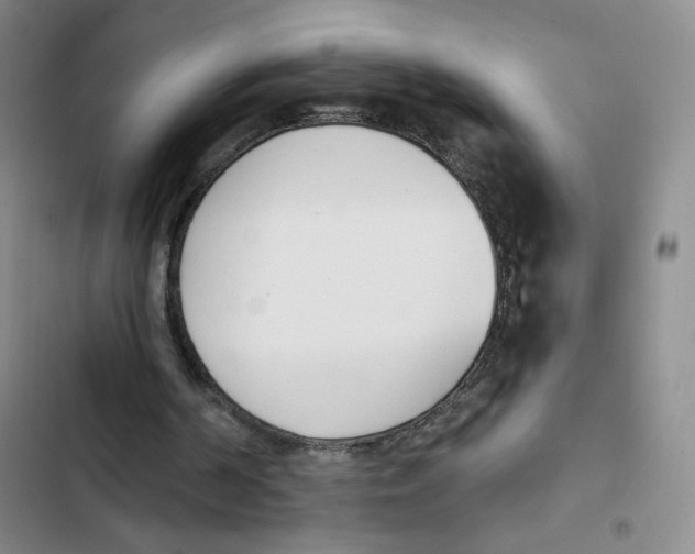 X0000102870194200809151243