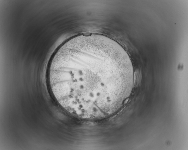 X0000102870195200809151243