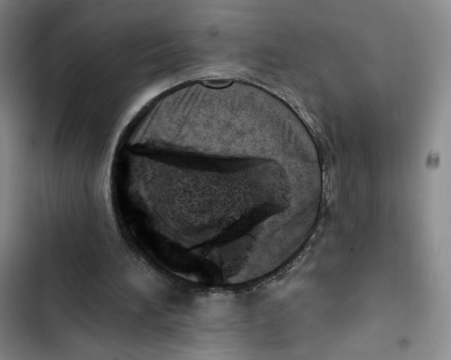 X0000102870196200809151243