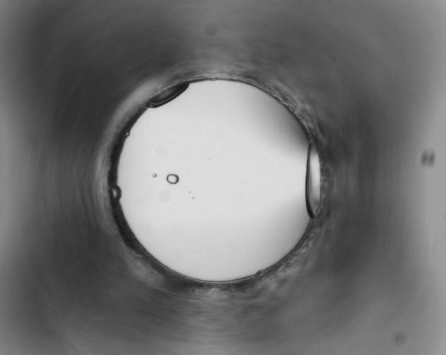 X0000102870197200809151243