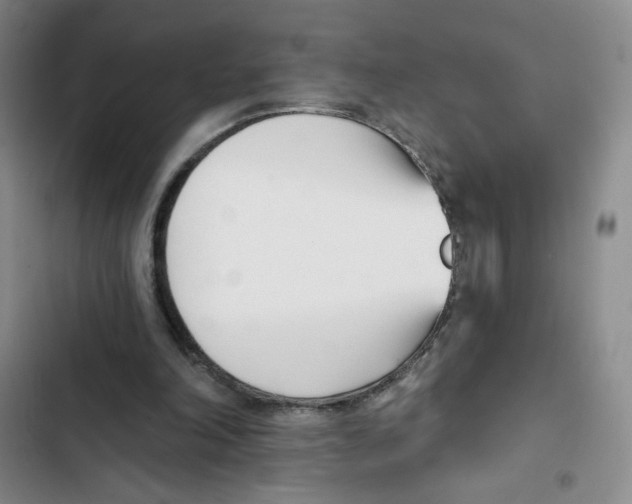 X0000102870198200809151243