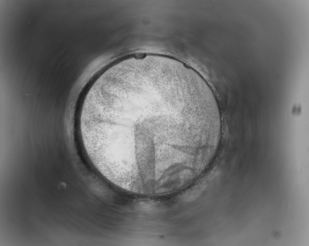 X0000102870199200809151243