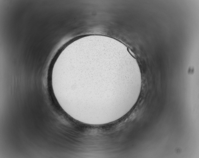 X0000102870200200809151243