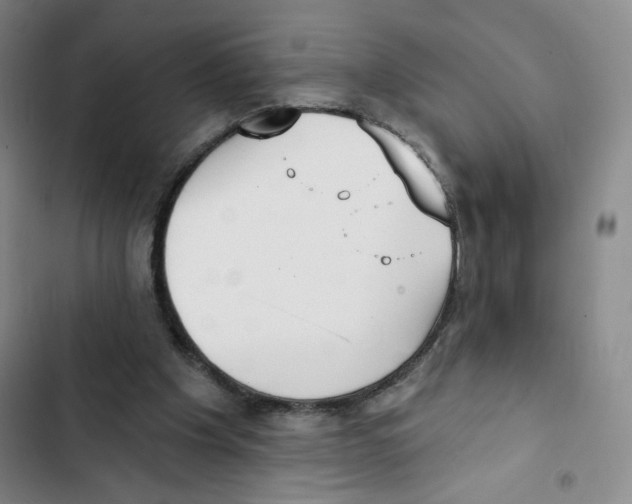 X0000102870201200809151243