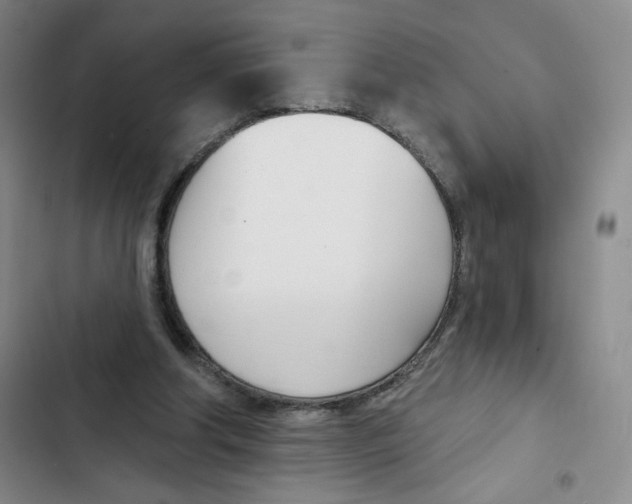X0000102870202200809151243