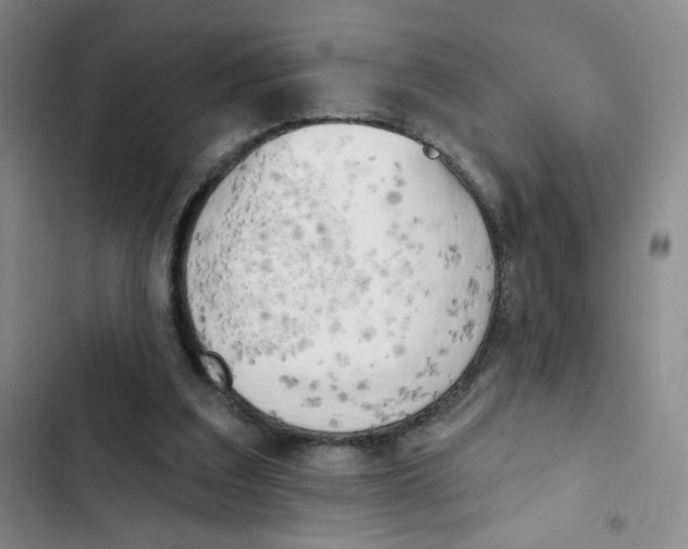 X0000102870203200809151243