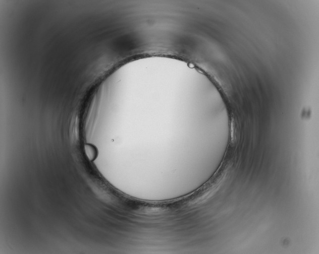 X0000102870205200809151243