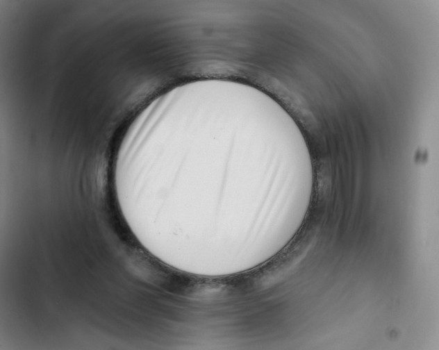 X0000102870206200809151243