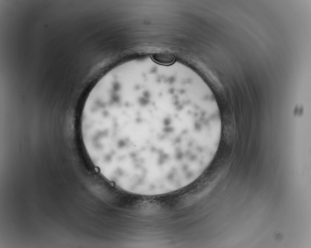 X0000102870207200809151243