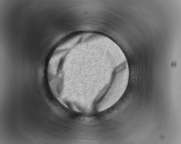 X0000102870208200809151243