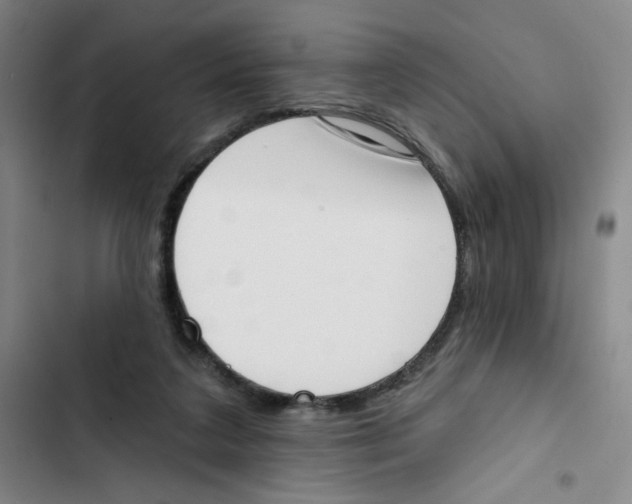 X0000102870211200809151243