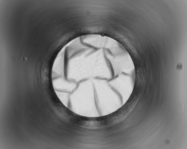 X0000102870212200809151243