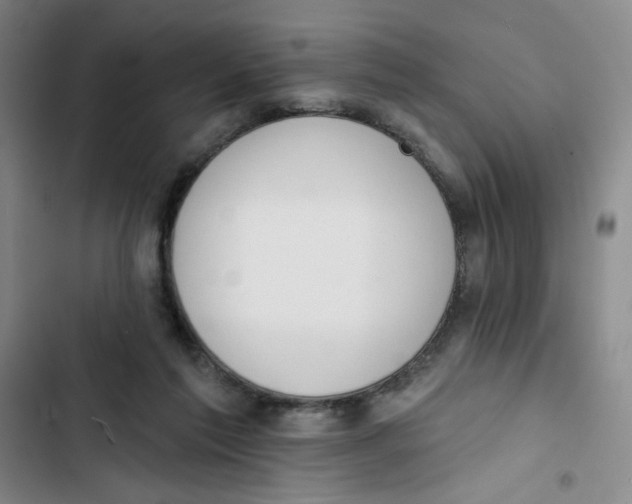 X0000102870213200809151243