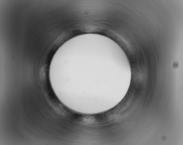 X0000102870214200809151243