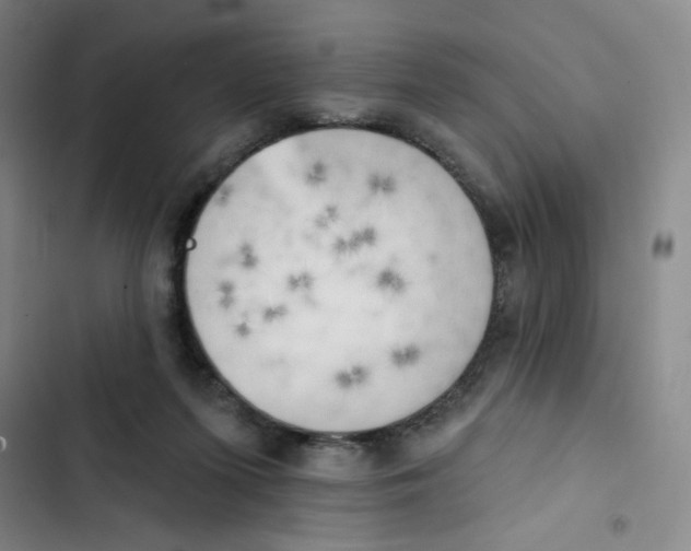 X0000102870215200809151243